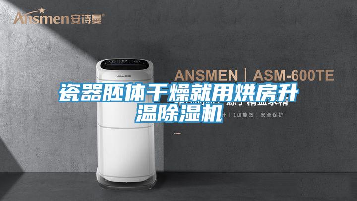 瓷器胚體幹燥就用烘房升溫草莓视频污污污污
