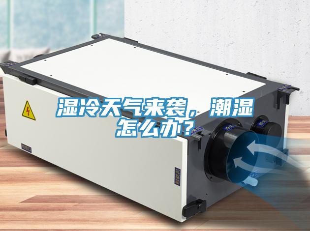 濕冷天氣來襲，潮濕怎麽辦？