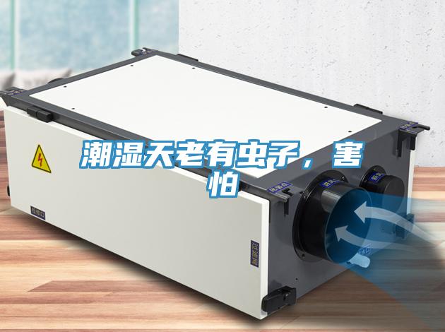 潮濕天老有蟲子，害怕