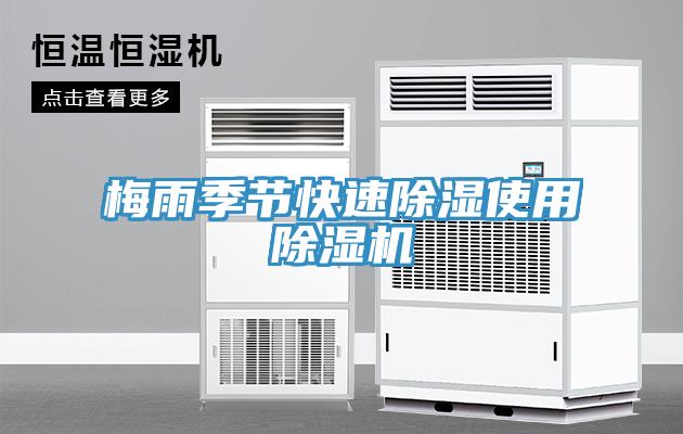 梅雨季節快速除濕使用草莓视频污污污污