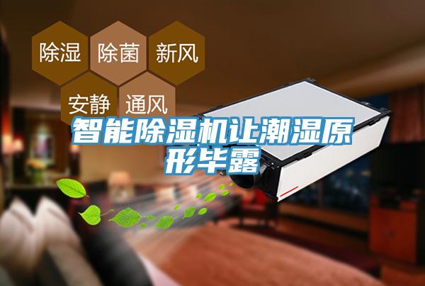 智能草莓视频污污污污讓潮濕原形畢露
