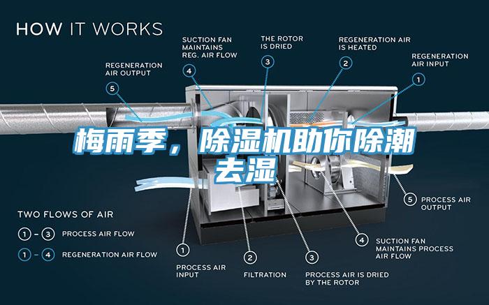 梅雨季，草莓视频污污污污助你除潮去濕