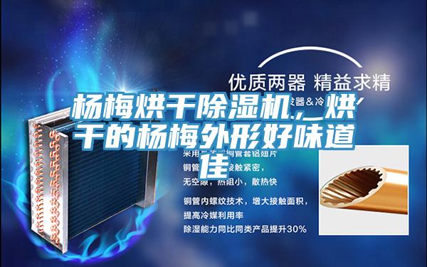 楊梅烘幹草莓视频污污污污，烘幹的楊梅外形好味道佳