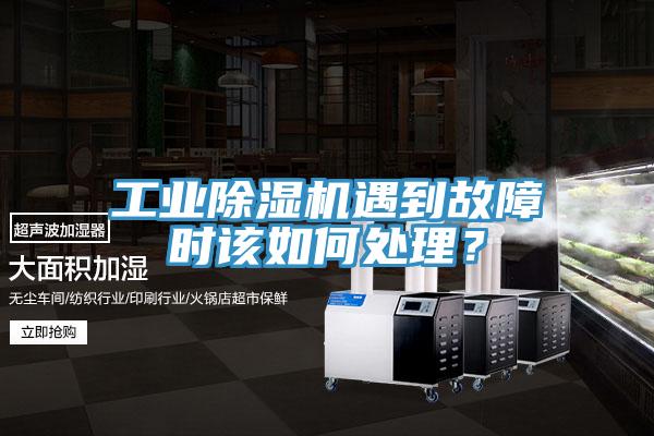 工業草莓视频污污污污遇到故障時該如何處理？