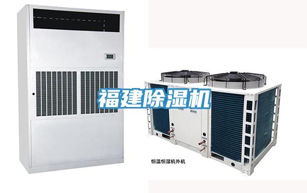 福建草莓视频污污污污