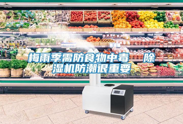 梅雨季需防食物中毒  草莓视频污污污污防潮很重要