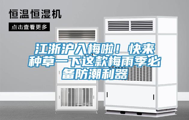 江浙滬入梅啦！快來種草一下這款梅雨季必備防潮利器