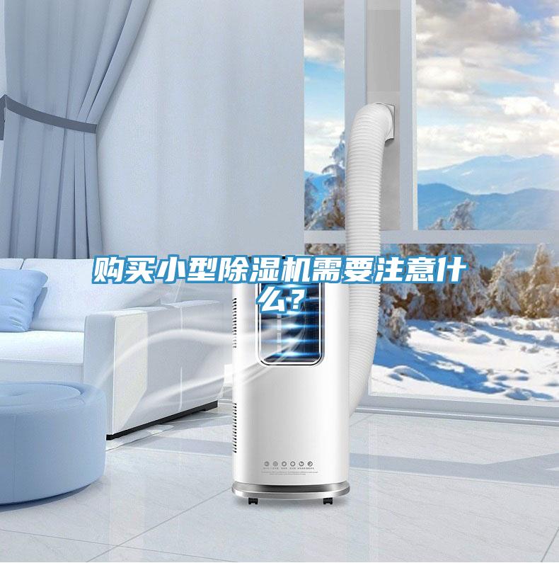 購買小型草莓视频污污污污需要注意什麽？