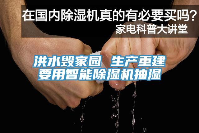 洪水毀家園 生產重建要用智能草莓视频污污污污抽濕