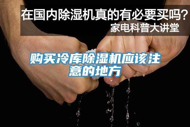 購買冷庫草莓视频污污污污應該注意的地方