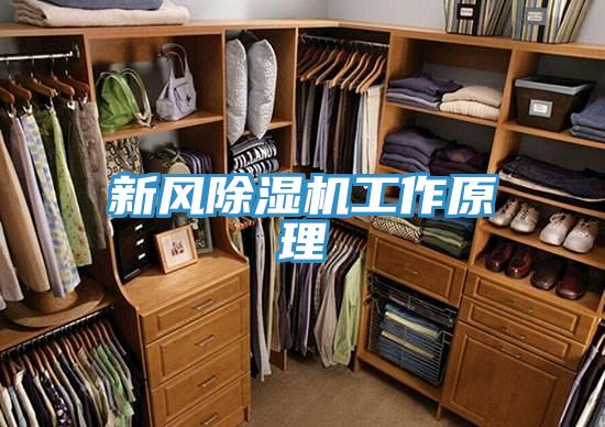 新風草莓视频污污污污工作原理