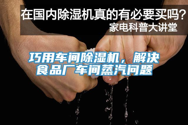 巧用車間草莓视频污污污污，解決食品廠車間蒸汽問題