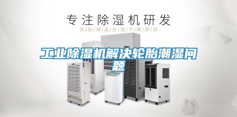 工業草莓视频污污污污解決輪胎潮濕問題