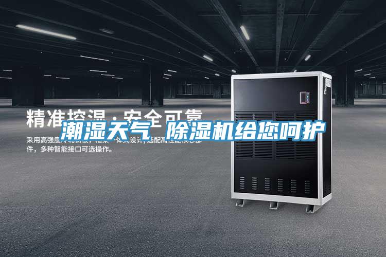 潮濕天氣 草莓视频污污污污給您嗬護
