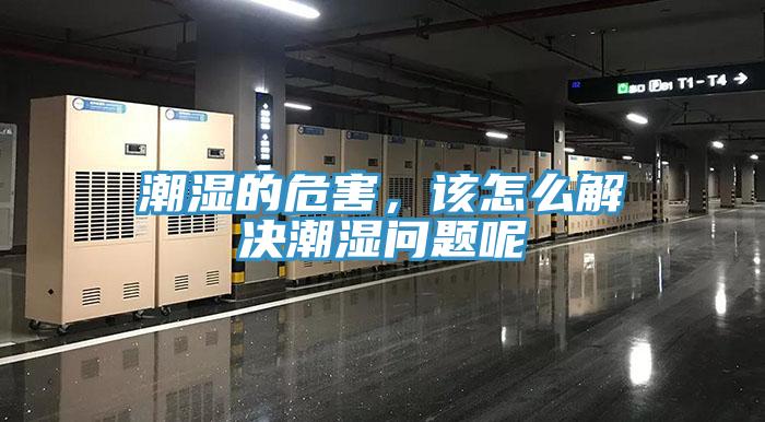 潮濕的危害，該怎麽解決潮濕問題呢