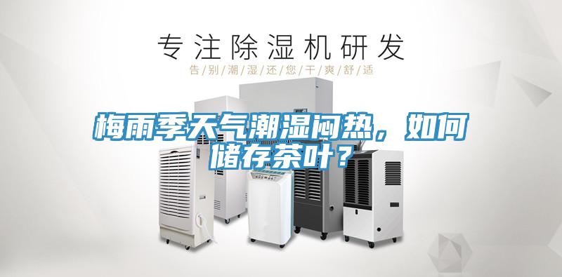 梅雨季天氣潮濕悶熱，如何儲存茶葉？