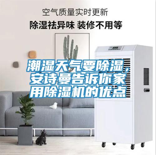 潮濕天氣要除濕，草莓视频黄污下载告訴你家用草莓视频污污污污的優點
