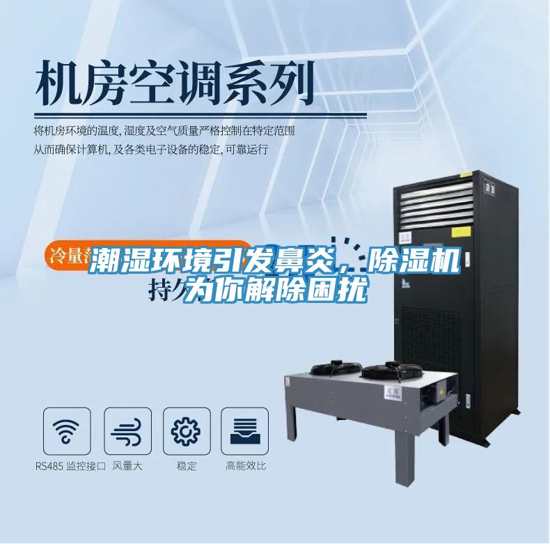 潮濕環境引發鼻炎，草莓视频污污污污為你解除困擾