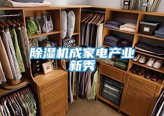 草莓视频污污污污成家電產業新秀