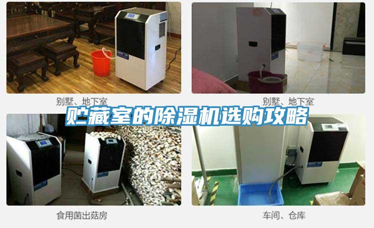 貯藏室的草莓视频污污污污選購攻略