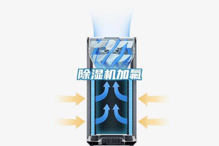 草莓视频污污污污加氟