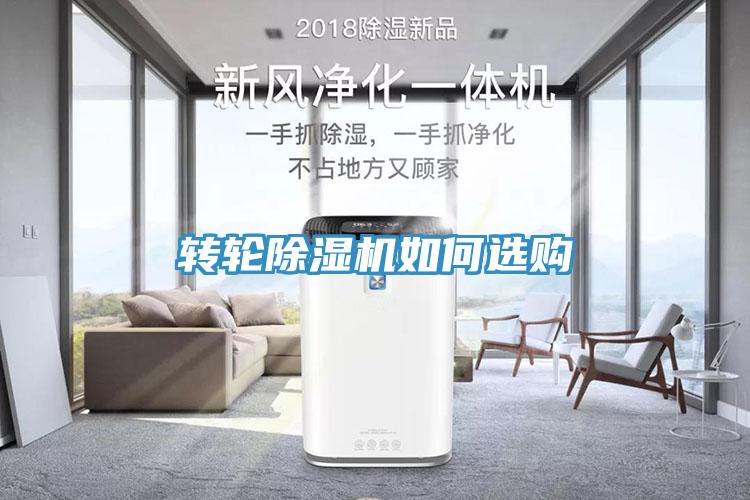 轉輪草莓视频污污污污如何選購
