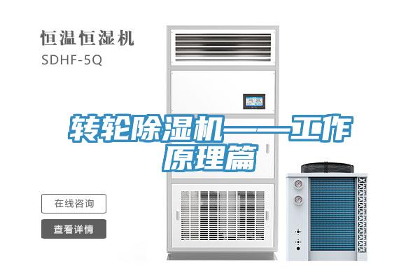 轉輪草莓视频污污污污——工作原理篇
