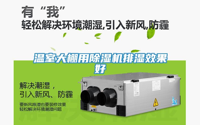 溫室大棚用草莓视频污污污污排濕效果好