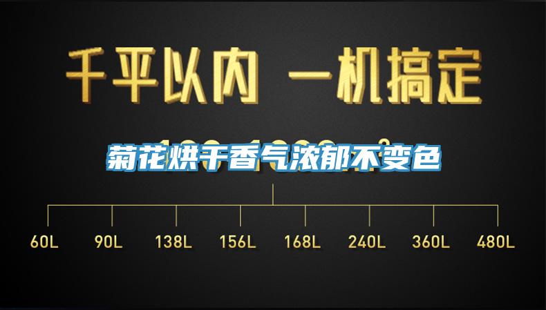 菊花烘幹香氣濃鬱不變色