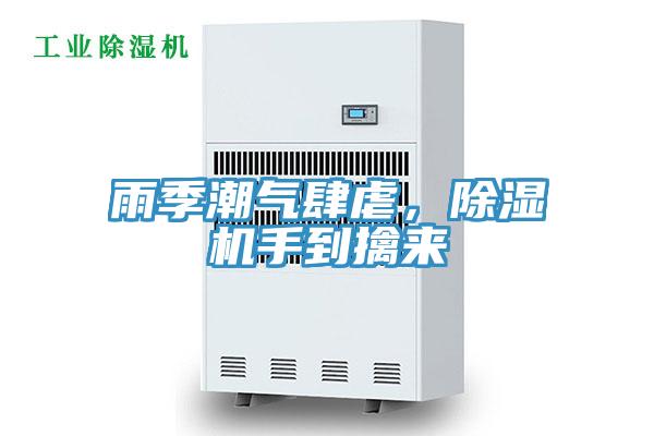 雨季潮氣肆虐，草莓视频污污污污手到擒來