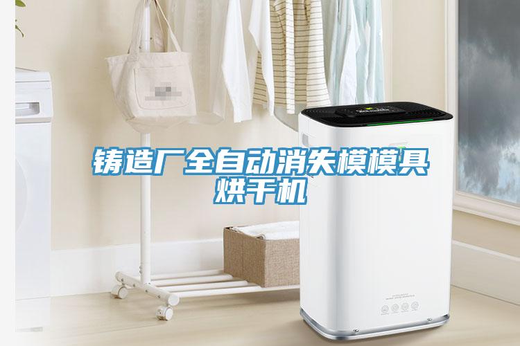 鑄造廠全自動消失模模具烘幹機