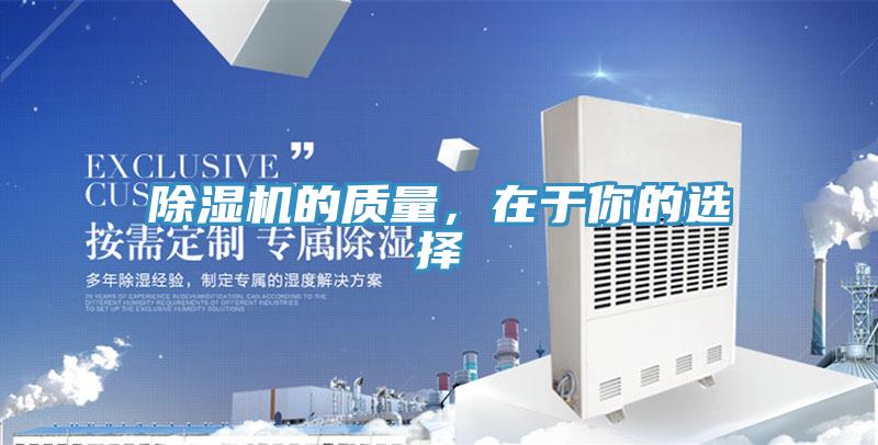 草莓视频污污污污的質量，在於你的選擇