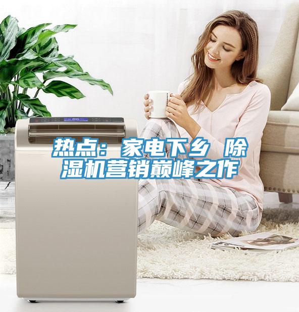 熱點：家電下鄉 草莓视频污污污污營銷巔峰之作