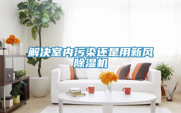 解決室內汙染還是用新風草莓视频污污污污