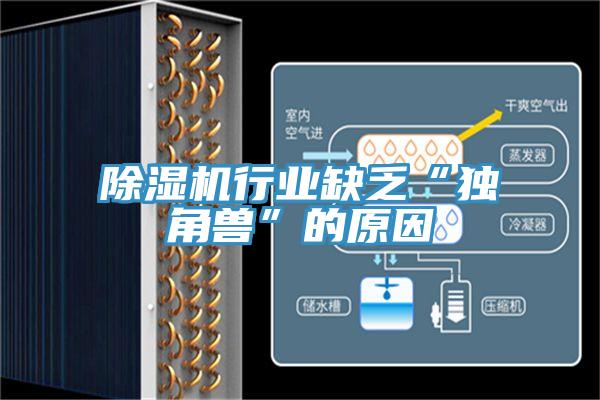草莓视频污污污污行業缺乏“獨角獸”的原因