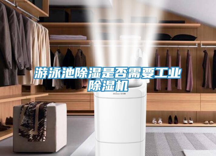 遊泳池除濕是否需要工業草莓视频污污污污