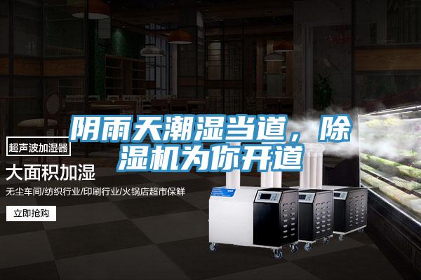 陰雨天潮濕當道，草莓视频污污污污為你開道