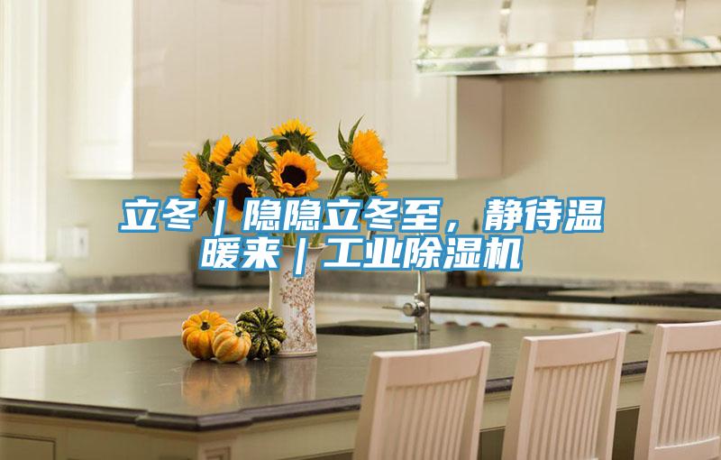 立冬｜隱隱立冬至，靜待溫暖來｜工業草莓视频污污污污