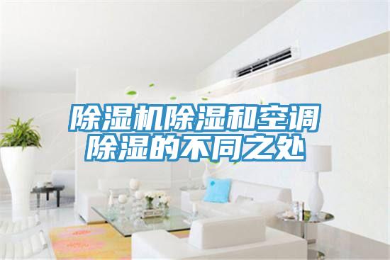 草莓视频污污污污除濕和空調除濕的不同之處