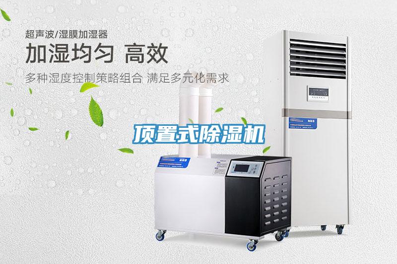 頂置式草莓视频污污污污