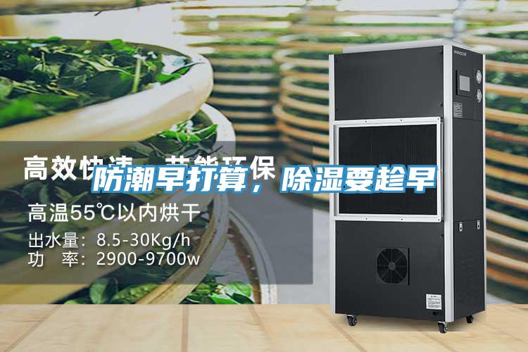 防潮早打算，除濕要趁早