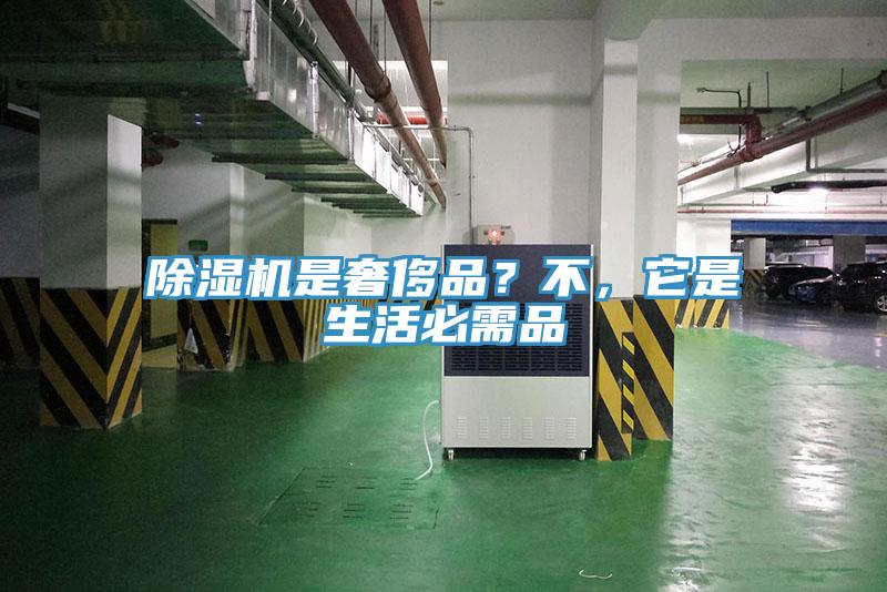 草莓视频污污污污是奢侈品？不，它是生活必需品