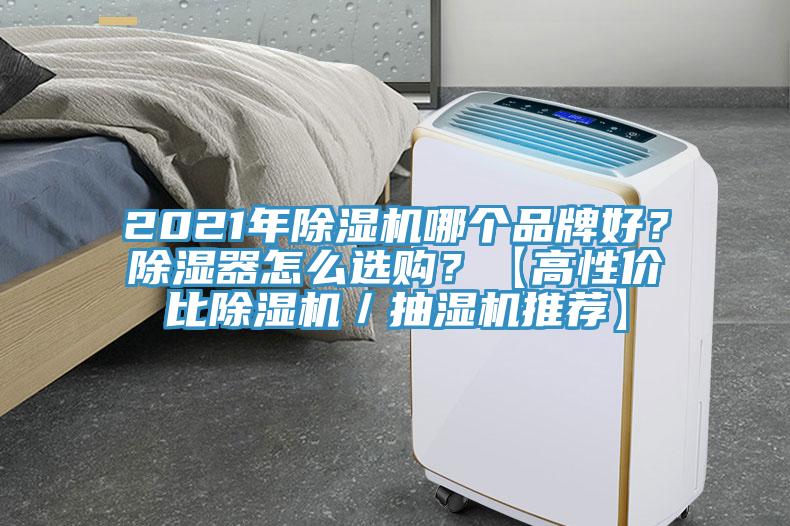 2021年草莓视频污污污污哪個品牌好？除濕器怎麽選購？【高性價比草莓视频污污污污／抽濕機推薦】