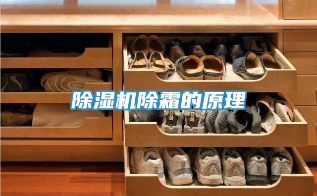 草莓视频污污污污除霜的原理