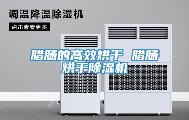 臘腸的高效烘幹 臘腸烘幹草莓视频污污污污