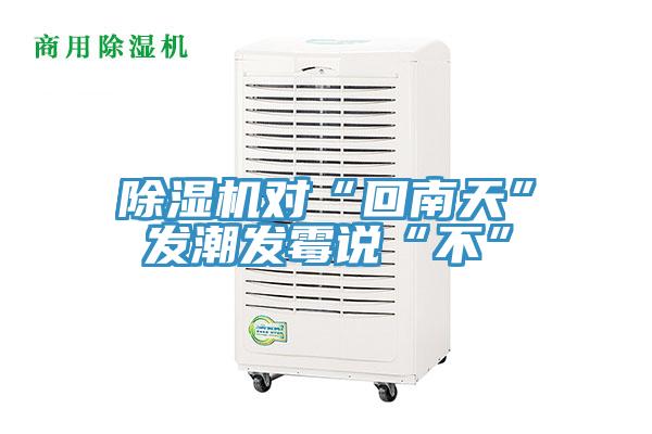 草莓视频污污污污對“回南天”發潮發黴說“不”