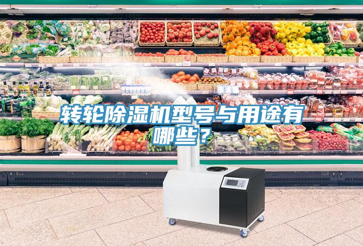 轉輪草莓视频污污污污型號與用途有哪些？