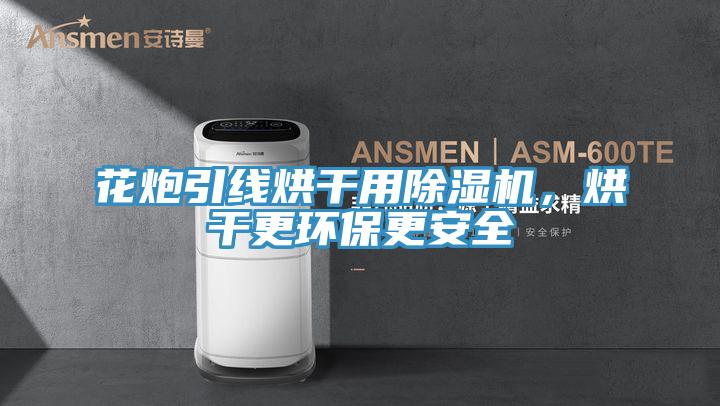 花炮引線烘幹用草莓视频污污污污，烘幹更環保更安全