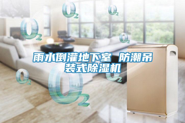雨水倒灌地下室 防潮吊裝式草莓视频污污污污