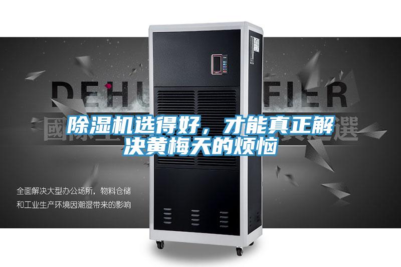 草莓视频污污污污選得好，才能真正解決黃梅天的煩惱